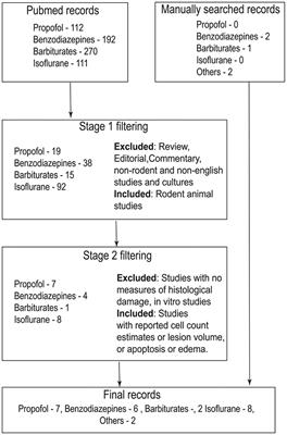 Are GABAergic drugs beneficial in providing neuroprotection after traumatic brain injuries? A comprehensive literature review of preclinical studies